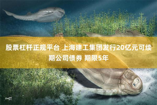 股票杠杆正规平台 上海建工集团发行20亿元可续期公司债券 期限5年