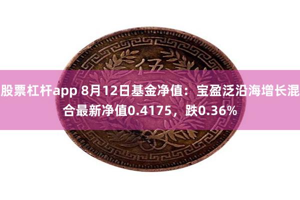 股票杠杆app 8月12日基金净值：宝盈泛沿海增长混合最新净值0.4175，跌0.36%