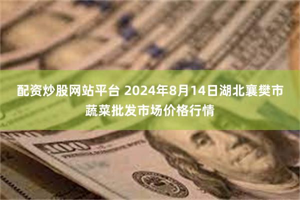 配资炒股网站平台 2024年8月14日湖北襄樊市蔬菜批发市场价格行情