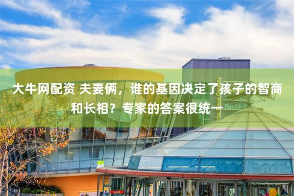 大牛网配资 夫妻俩，谁的基因决定了孩子的智商和长相？专家的答案很统一