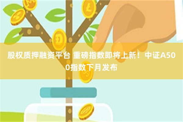 股权质押融资平台 重磅指数即将上新！中证A500指数下月发布