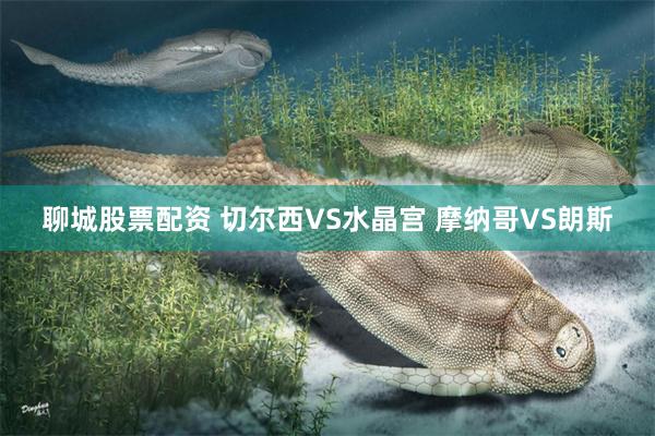 聊城股票配资 切尔西VS水晶宫 摩纳哥VS朗斯