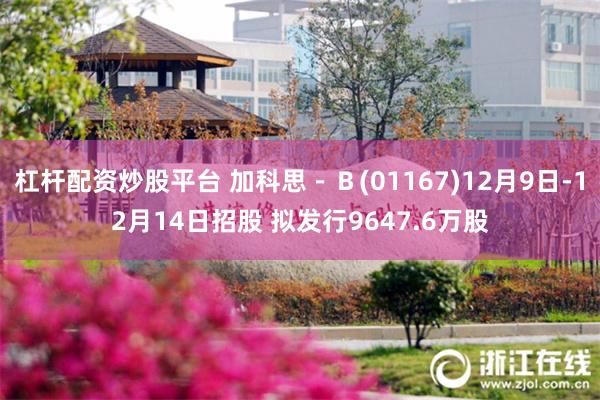 杠杆配资炒股平台 加科思－Ｂ(01167)12月9日-12月14日招股 拟发行9647.6万股