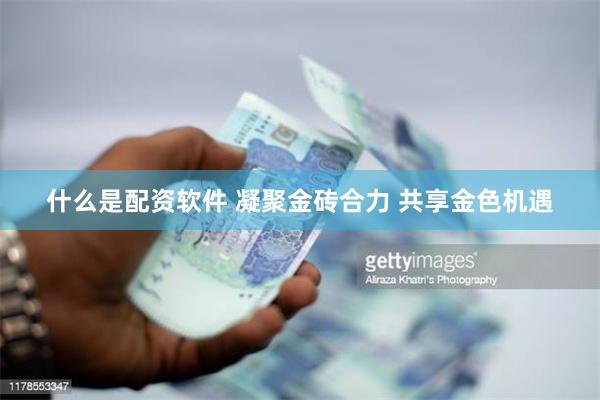 什么是配资软件 凝聚金砖合力 共享金色机遇