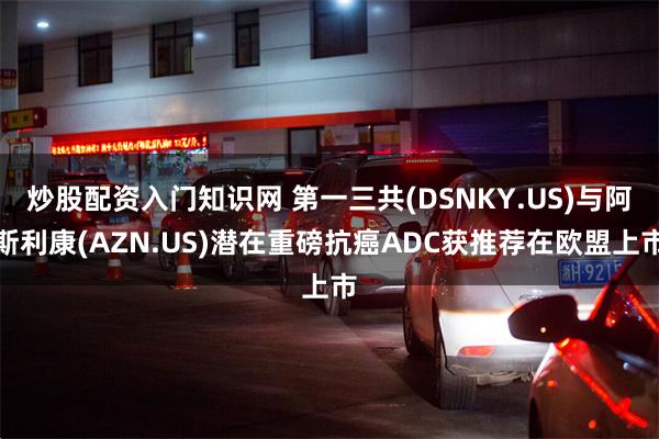 炒股配资入门知识网 第一三共(DSNKY.US)与阿斯利康(AZN.US)潜在重磅抗癌ADC获推荐在欧盟上市