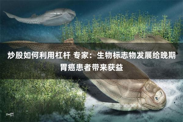 炒股如何利用杠杆 专家：生物标志物发展给晚期胃癌患者带来获益