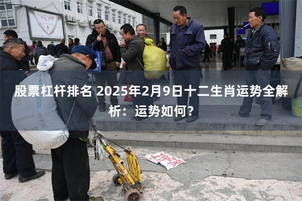 股票杠杆排名 2025年2月9日十二生肖运势全解析：运势如何？