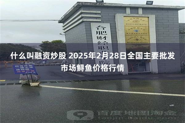 什么叫融资炒股 2025年2月28日全国主要批发市场鲟鱼价格行情