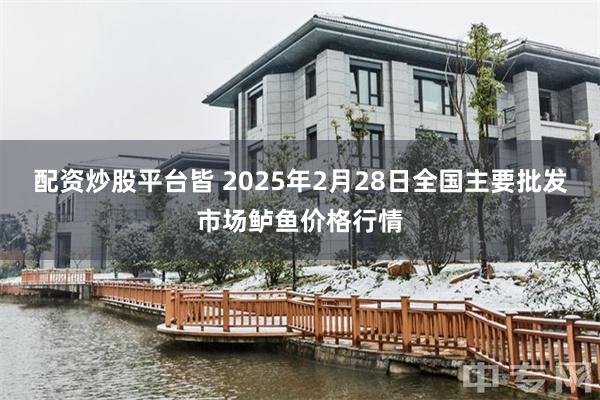 配资炒股平台皆 2025年2月28日全国主要批发市场鲈鱼价格行情