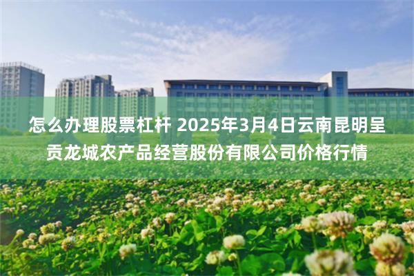 怎么办理股票杠杆 2025年3月4日云南昆明呈贡龙城农产品经营股份有限公司价格行情